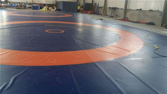 標準比賽摔跤墊子 活力體育現(xiàn)貨 中國式標準比賽摔跤墊子