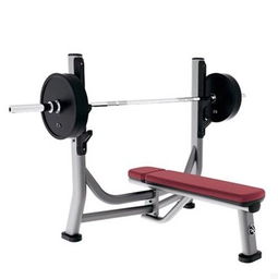 美國(guó)力健lifefitness sofb奧林匹克水平推舉椅 專(zhuān)業(yè)力量訓(xùn)練器材圖片,美國(guó)力健lifefitness sofb奧林匹克水平推舉椅 專(zhuān)業(yè)力量訓(xùn)練器材高清圖片 上海康丁健身器材常州分公司