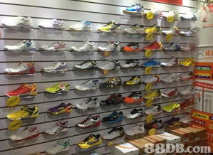 2020最新201個(gè)運(yùn)動(dòng)用品價(jià)格及商戶(hù)聯(lián)絡(luò)資訊