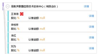 海南聲意圈信息技術咨詢中心 專業(yè)有限合伙信息技術咨詢服務